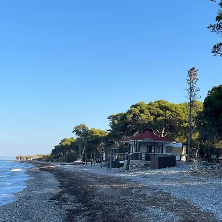 ξυλοκαστρο σπίτι δίπλα στα πεύκα και τη θάλασσα! Appartement *