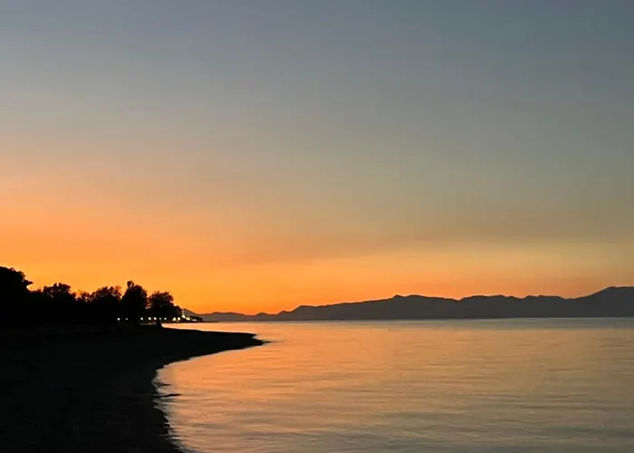 ξυλοκαστρο σπίτι δίπλα στα πεύκα και τη θάλασσα! * 자일로카스트론